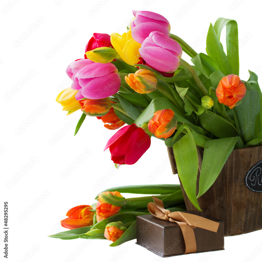 Obraz premium blooming tulips with present
