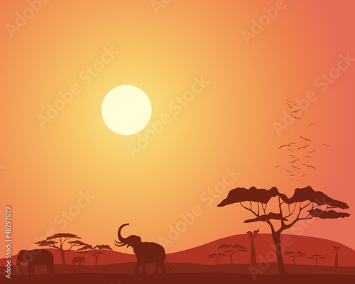 africa landscape