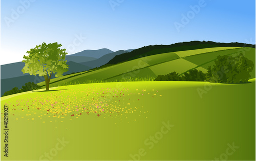 Country landscape with mountains