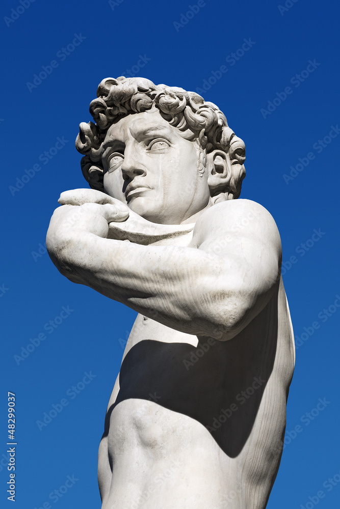 David by Michelangelo - Florence Italy David by Michelangelo - Florence Italy