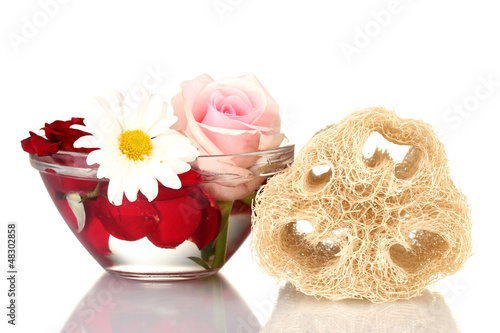 Obraz na płótnie Loofah isolated on white