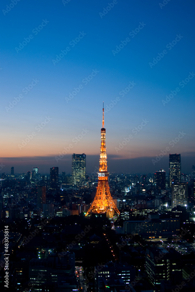 Obraz premium 東京の夜景と東京タワー