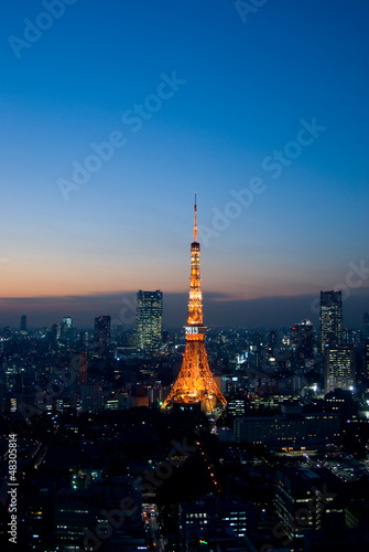 東京の夜景と東京タワー