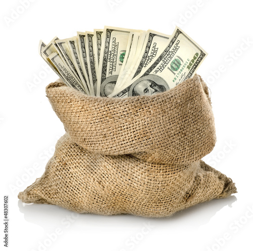 Money in the bag isolated