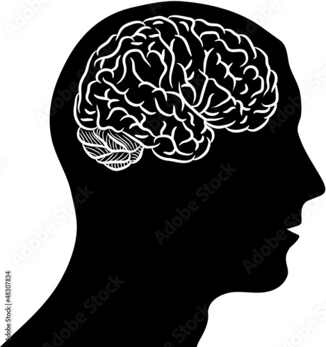 Brain in head