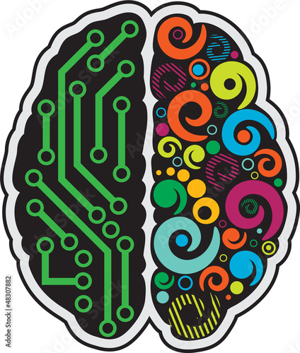 Human brain