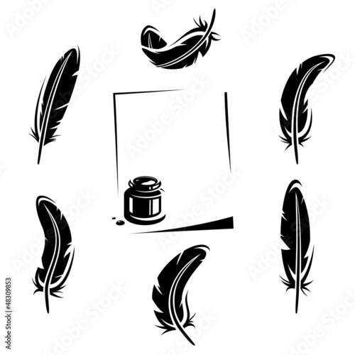 Feather set. Vector