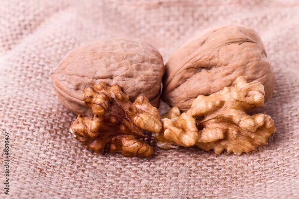 Obraz premium Walnut in nutshell Composiotion