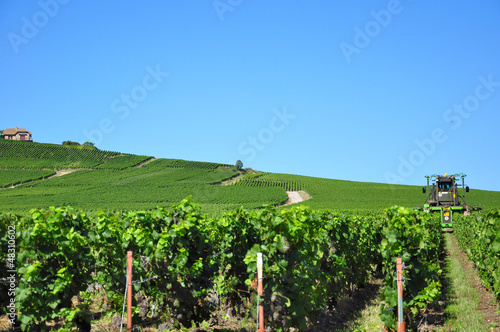 coteaux champenois photo