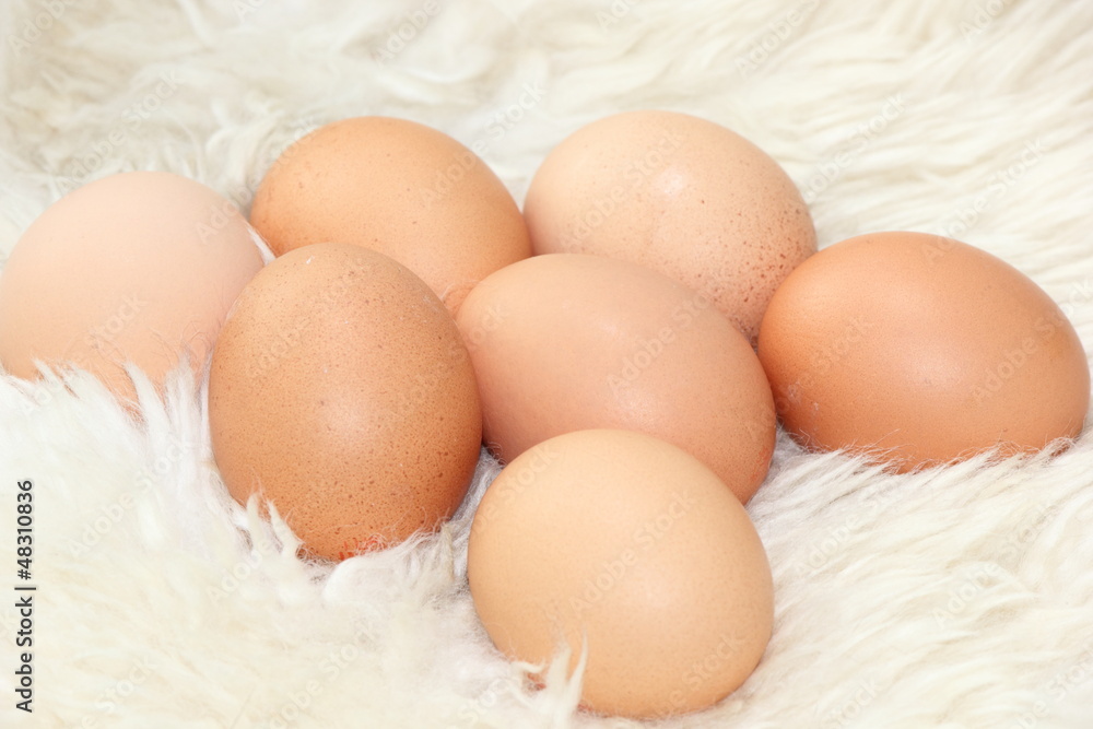 a collection of free range eggs sitting on faux fur