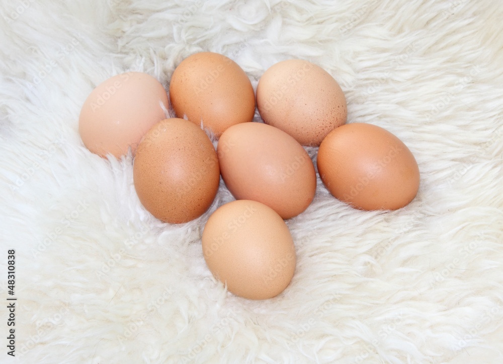 a collection of free range eggs sitting on faux fur a collection of free range eggs sitting on faux fur