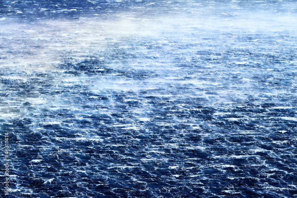 Fototapeta premium Raging sea with furious waves