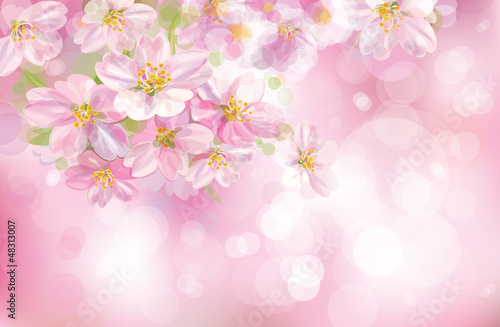 Vector of spring blossoming tree with pink background