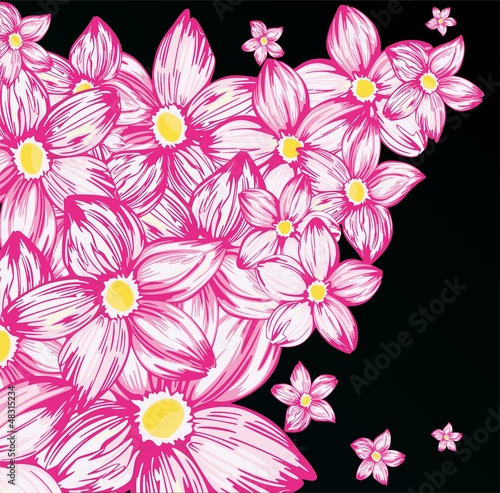 Pink flowers on the black
