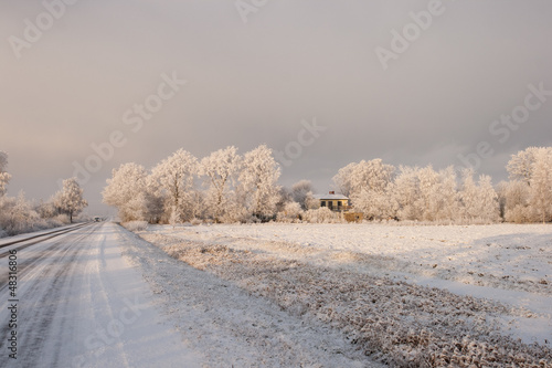 winter morning