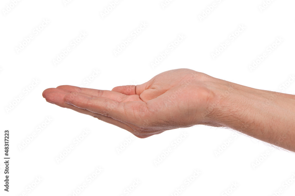Open palm hand gesture of male hand Open palm hand gesture of male hand