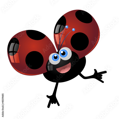 coccinella allegra