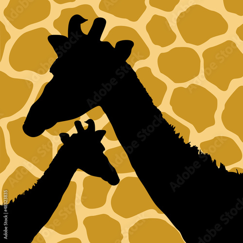 Giraffe Hide Pattern with Giraffes
