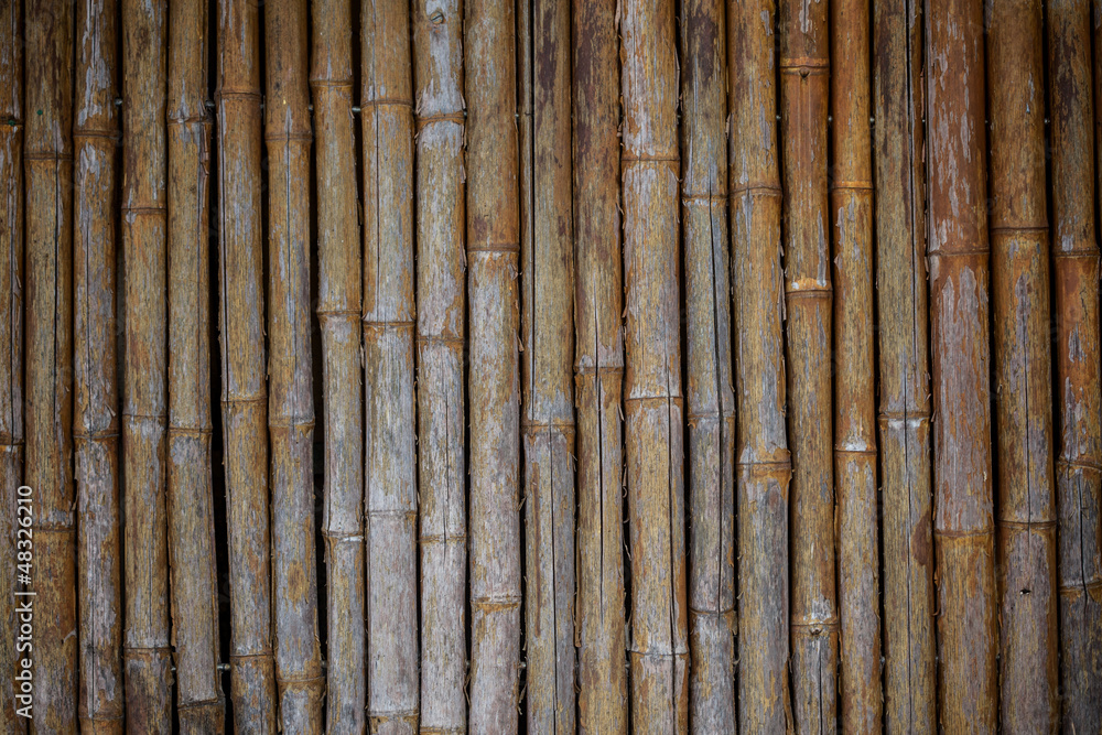 Bamboo Wall Texture Bamboo Wall Texture