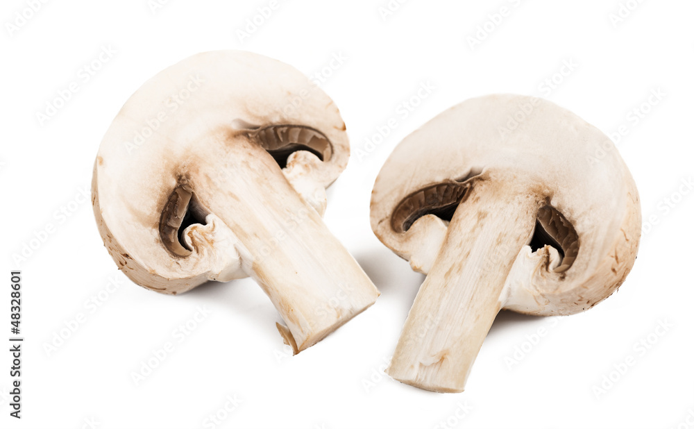 Champignon mushrooms isolated on white background Champignon mushrooms isolated on white background
