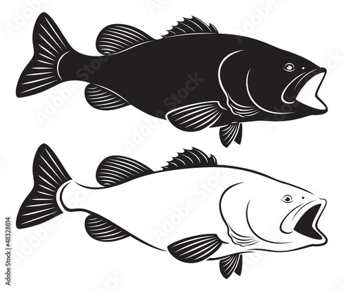 fish bass