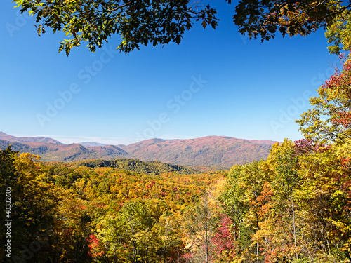 Fototapeta Naklejka Na Ścianę i Meble -  Fall colors woods in the Smoky Mountains National Park