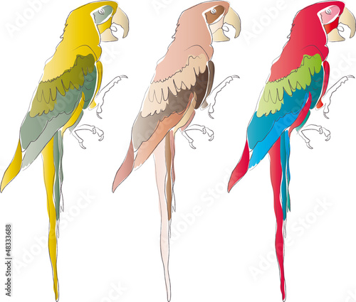 Ara - Papagei - Tropen - Urlaub - Logo