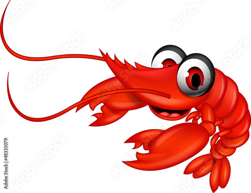 funny shrimp cartoon