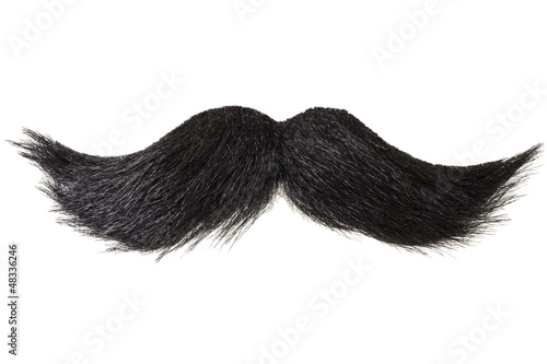 Curly moustache isolated on white Fototapet