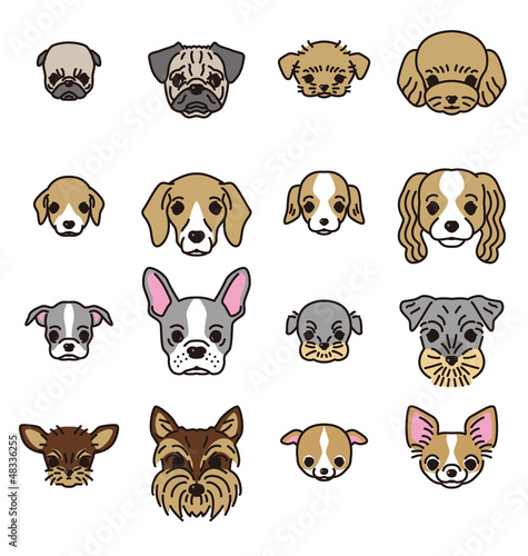 犬の親子の顔