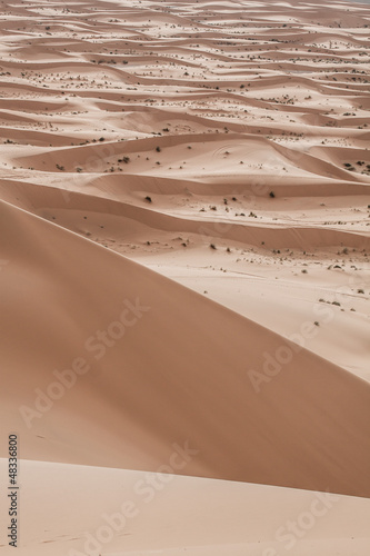 Sand dunes at sunset in the Sahara  in Morocco photo