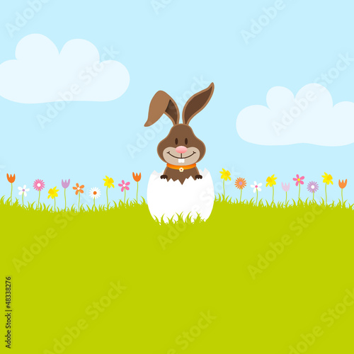 Bunny In Meadow In Eggshell