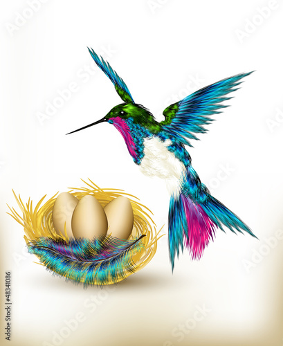 Colorful  background with realistic hummingbird and nest full of