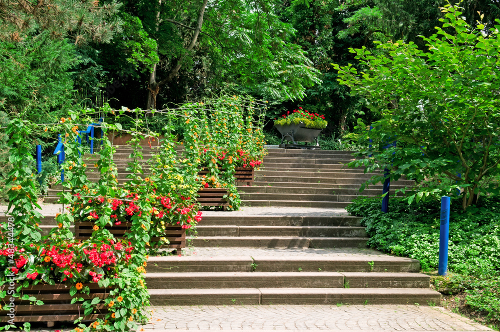 staircase in the cozy park