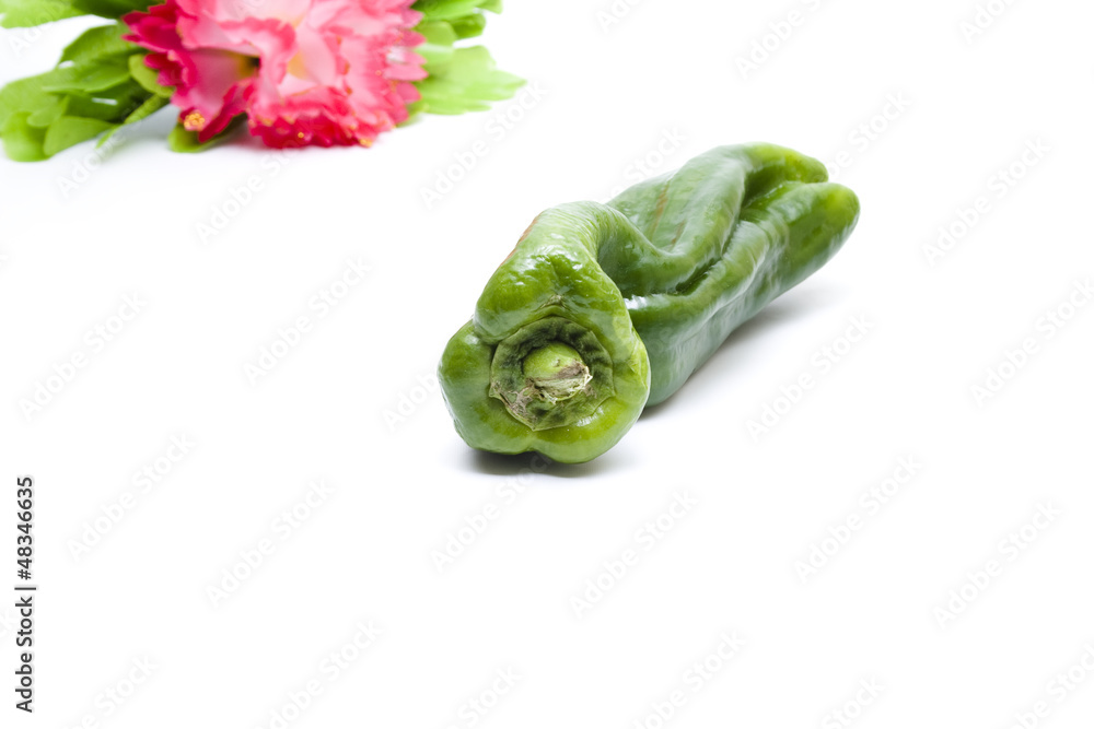 Frische Grüne Paprika Frische Grüne Paprika