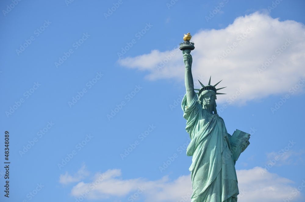 Fototapeta premium Buste statue de la liberté New-York
