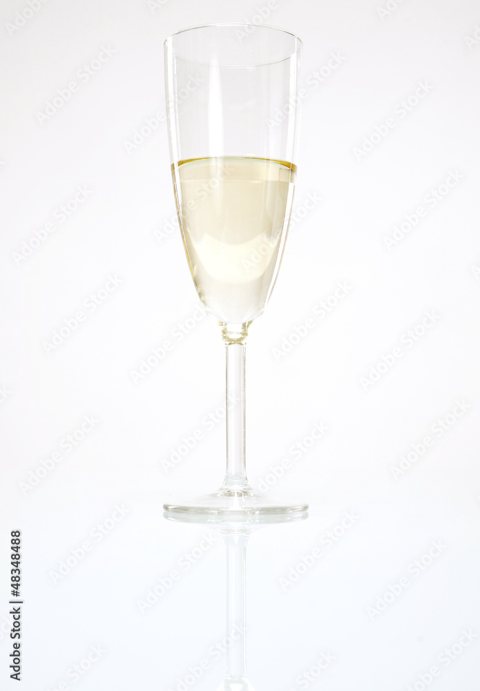 Single Wine Glass