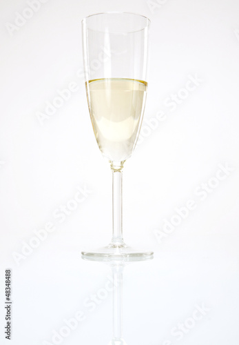 Single Wine Glass