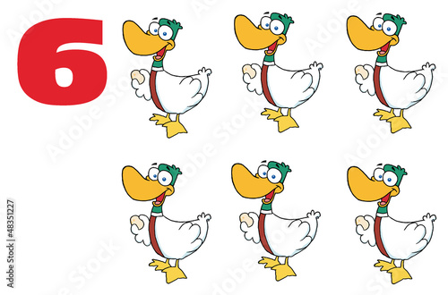 Red Number Six By Geese Laying Eggs