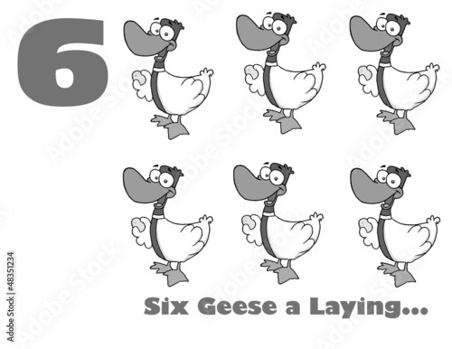 Black And White Number Six With Text By Geese Laying Eggs