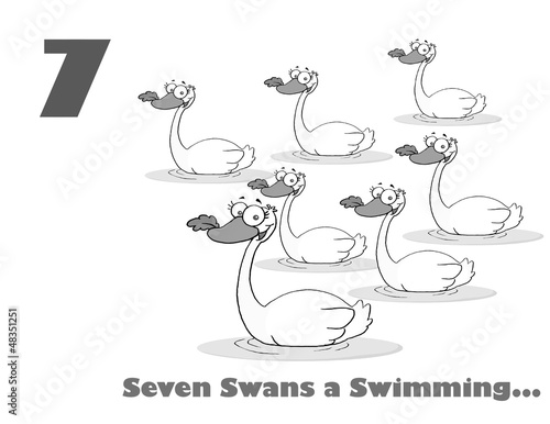 Black And White Number Seven And Text By Swimming Swans