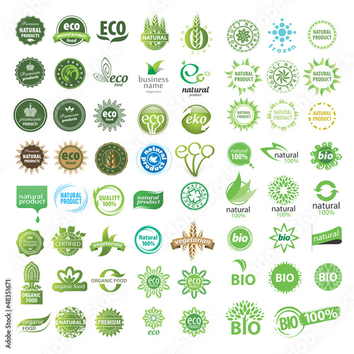 logo natural 308