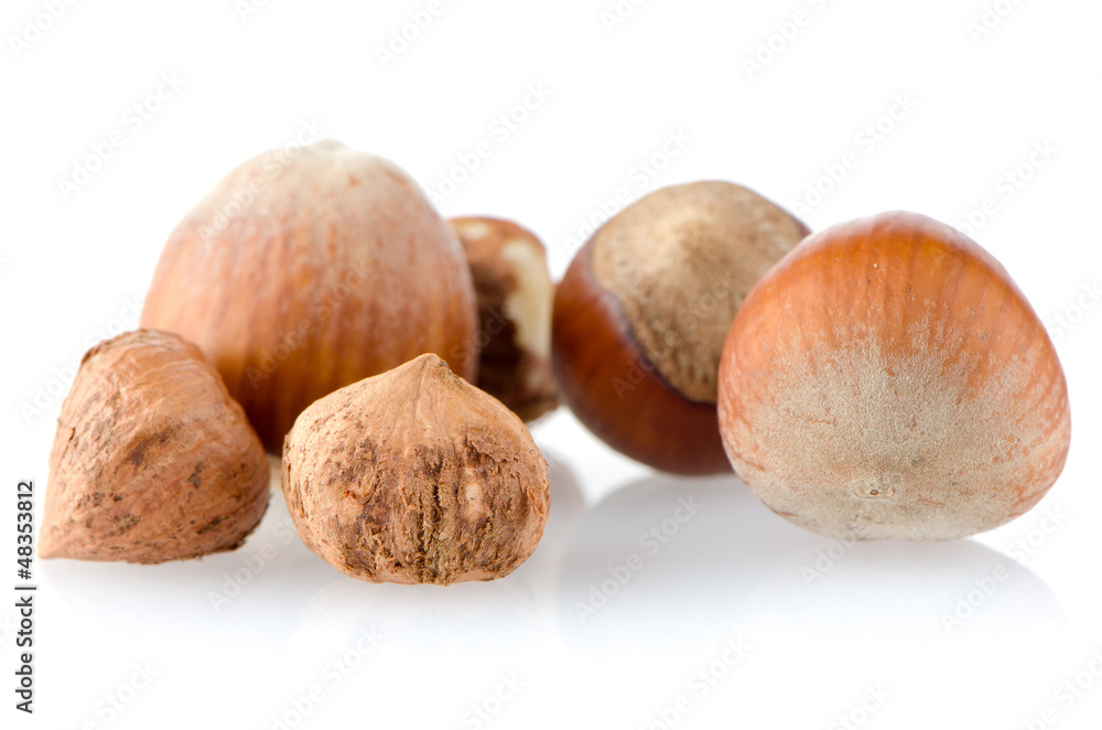 Fresh hazelnuts Fresh hazelnuts
