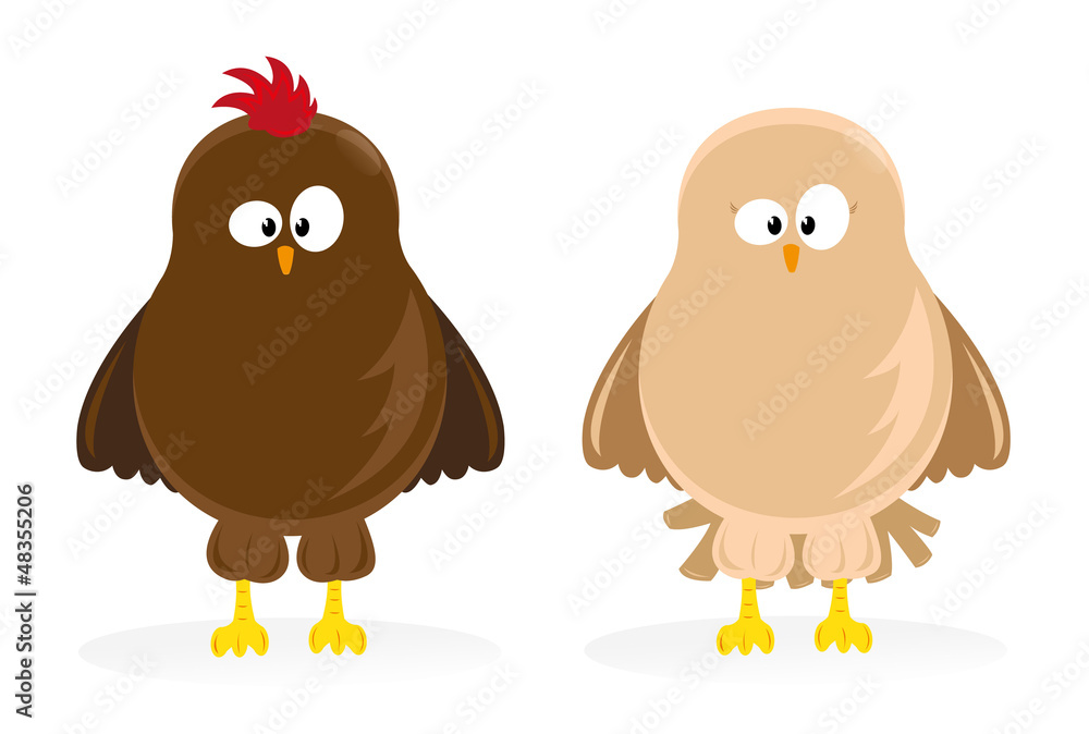 Fototapeta premium chicken and hen