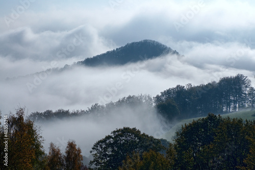 Wooded mountain and trees emerging from the clouds and fog