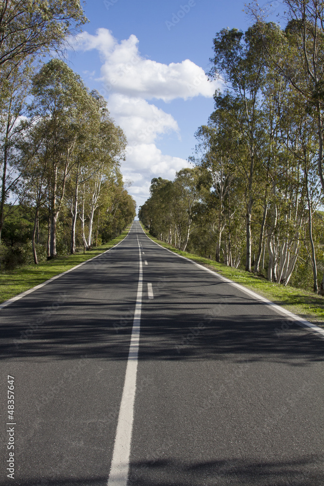 Fototapeta premium long asphalt road