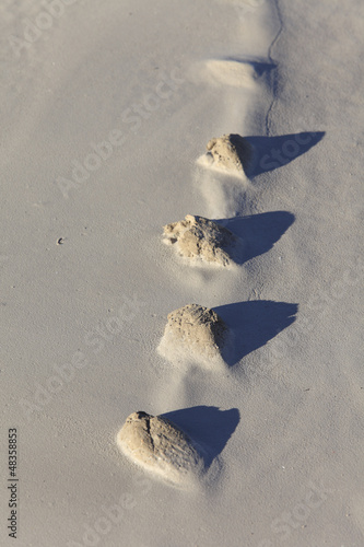 Stones & Mud photo