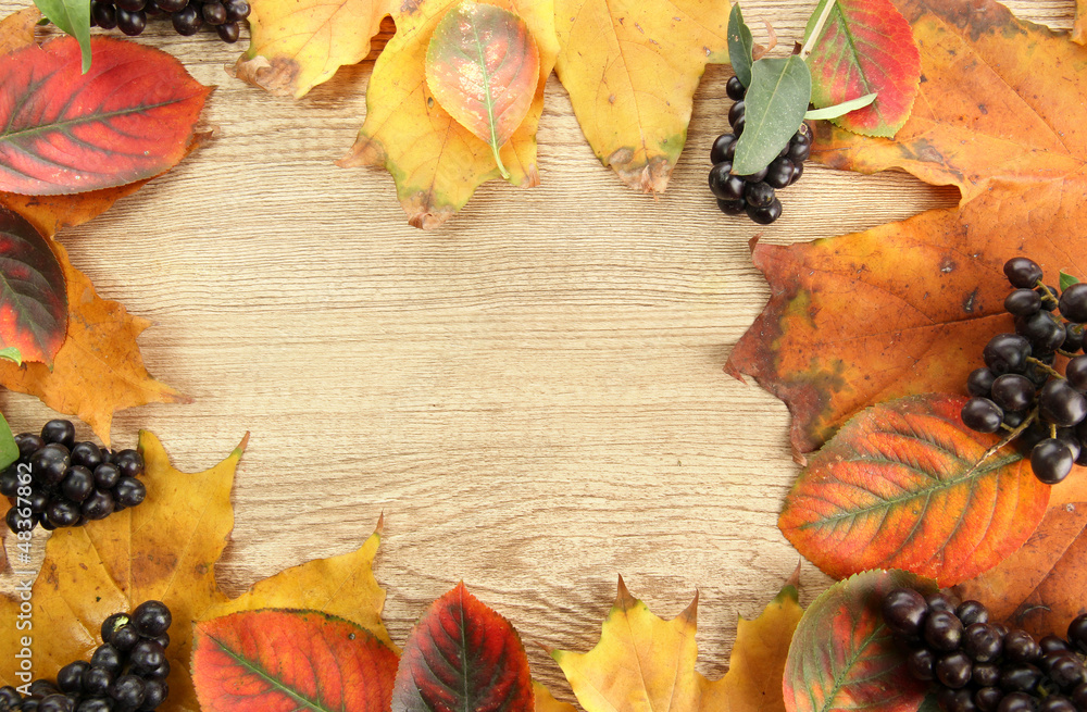 bright autumn leaves and wild berries, on wooden background bright autumn leaves and wild berries, on wooden background