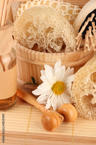 Obraz na płótnie Loofah on color background