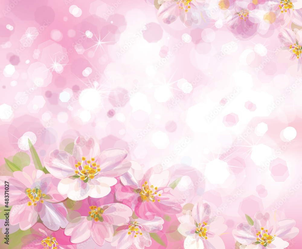 Vector of spring blossoming tree with pink background